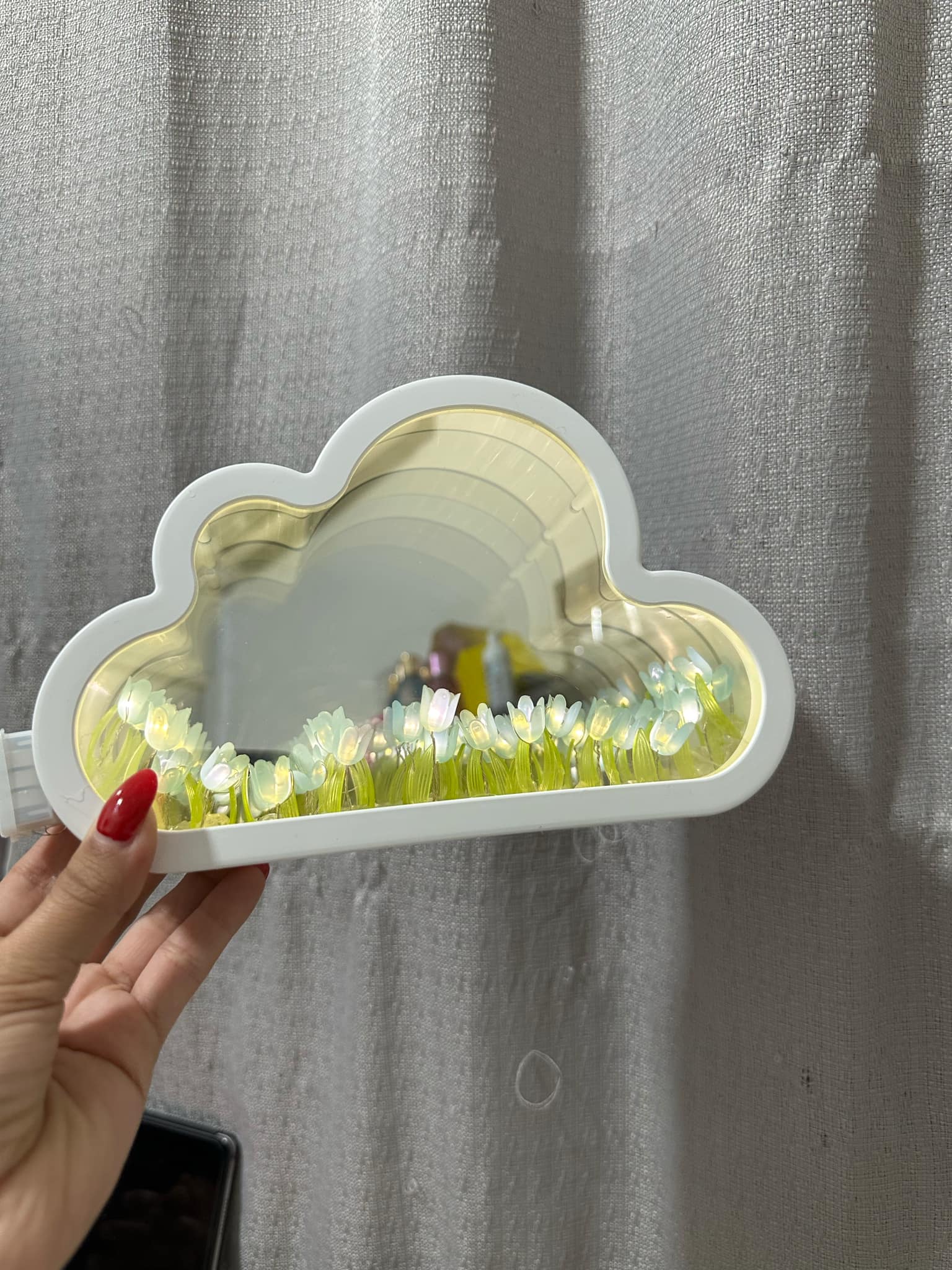 Jardin de tulipanes nube